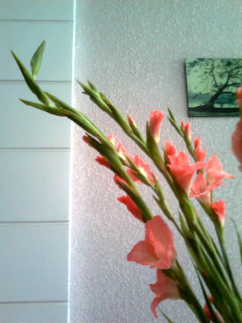 Trang trí nhà bằng hoa tươi trong ngày Tết | 5