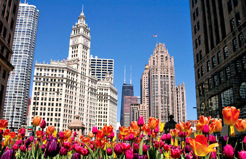 Chicago-Mỹ: Thành phố của cao ốc và màu xanh | ảnh 11
