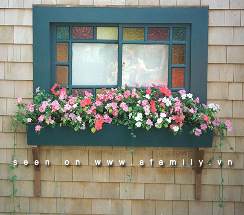 Trang trí bồn hoa độc đáo bên khung cửa sổ | ảnh 3