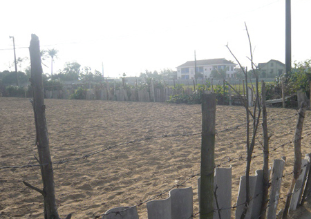 Nghệ An: 53 hộ dân nhường đất làm đường đã có đất ở mới | ảnh 2