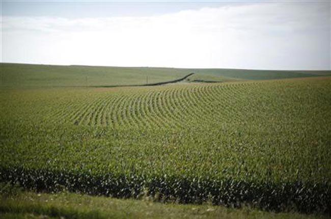 Mỹ: Giá đất nông nghiệp tăng cao kỷ lục | ảnh 1
