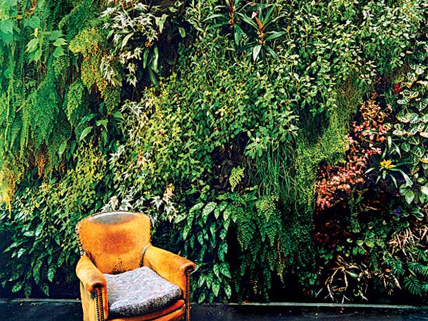 Vườn trên tường - giải pháp cho mảng xanh thẳng đứng | ảnh 2