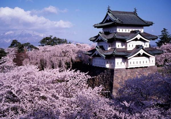 12 lâu đài cổ kính ở ở Nhật Bản | ảnh 7
