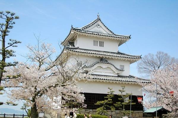 12 lâu đài cổ kính ở ở Nhật Bản | ảnh 11