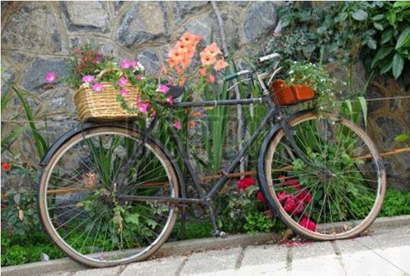 Ấn tượng với “xe hoa” vintage cho khu vườn nhà bạn | ảnh 2
