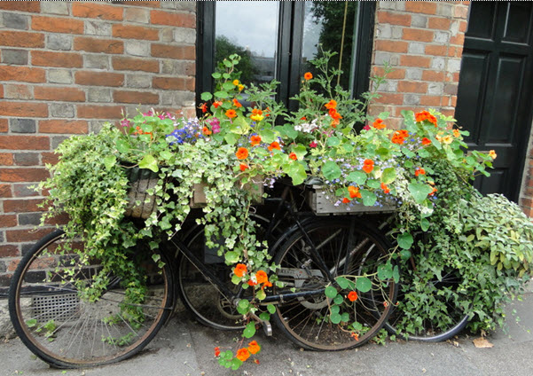 Ấn tượng với “xe hoa” vintage cho khu vườn nhà bạn | ảnh 5