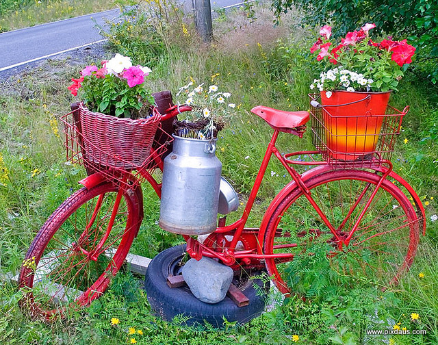 Ấn tượng với “xe hoa” vintage cho khu vườn nhà bạn | ảnh 6
