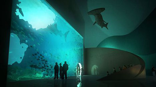 Ngắm kiến trúc độc đáo của nhà trưng bày sinh vật biển | ảnh 8
