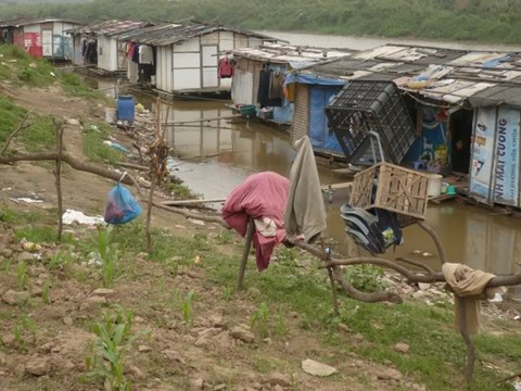 Hà Nội: Đất bãi ven sông Hồng đã thu hồi rồi bỏ ngỏ | ảnh 2