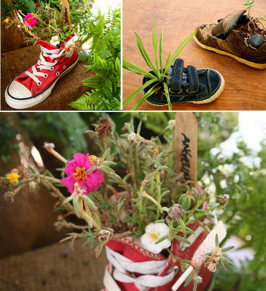 Vườn mini từ giày cũ | ảnh 15