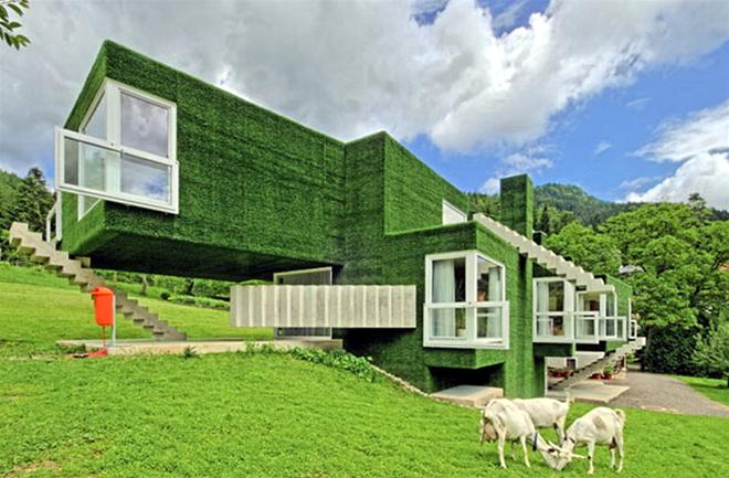 Biệt thự xanh tại Áo | ảnh 2
