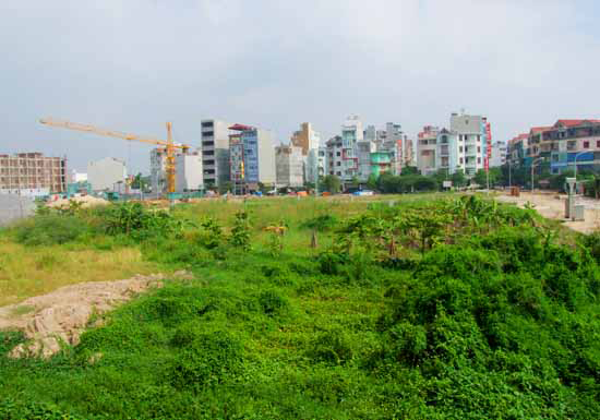 Đẩy mạnh đấu giá đất tại các quận, huyện ở Hà Nội | ảnh 1