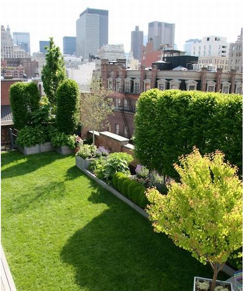 Tạo khu vườn xanh mát trên sân thượng | ảnh 13