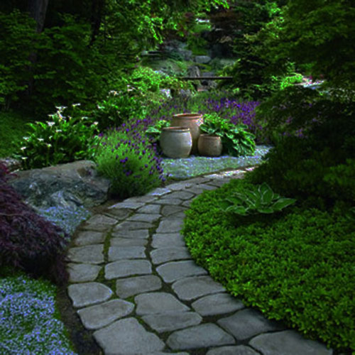 Tạo lối đi trong vườn với một màu xanh mướt 9