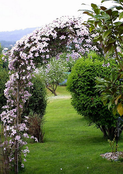 Những lối vào nhà vườn thơ mộng với cổng hoa 5