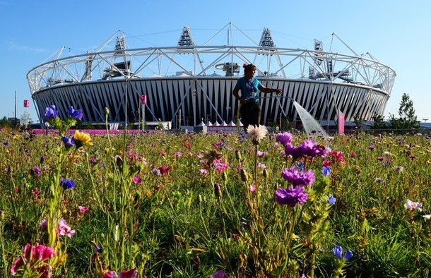 Vẻ đẹp tráng lệ của nơi tổ chức lễ khai mạc Olympic | ảnh 11