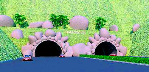 Phú Yên: Thu hồi 167ha đất thực hiện dự án hầm Đèo Cả | ảnh 1