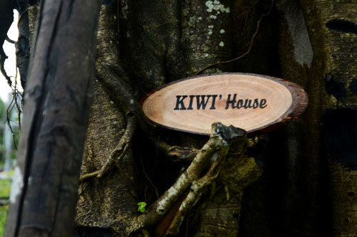 Ghé thăm biệt thự triệu đô của Kiwi Ngô Mai Trang | ảnh 24