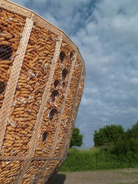 Ngắm ngôi nhà xây bằng... bắp ngô ở Pháp | ảnh 2