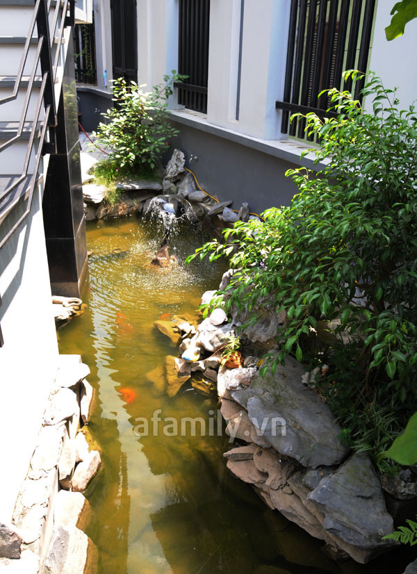 Căn biệt thự xinh trong ngõ nhỏ đường Nguyễn Khang | ảnh 3