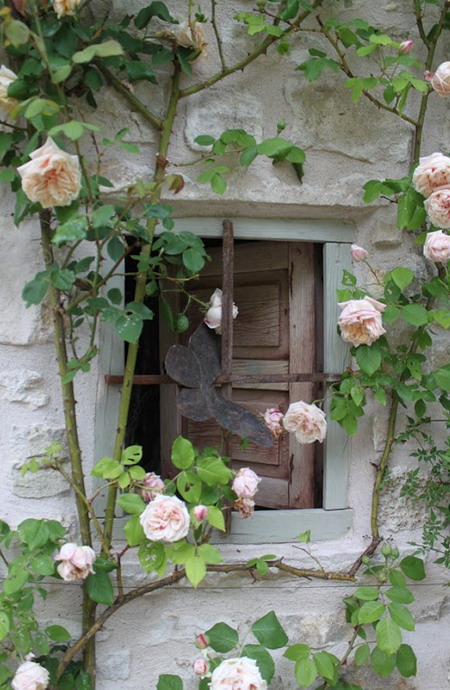 Ngôi nhà hoa hồng cho nàng lãng mạn | ảnh 17
