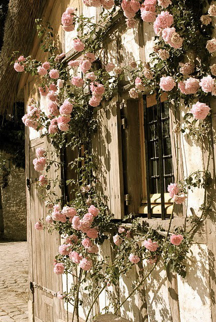 Ngôi nhà hoa hồng cho nàng lãng mạn | ảnh 18