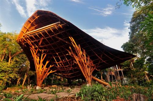 Villa Eco - Kiến trúc lấy cảm hứng từ... cá | ảnh 7