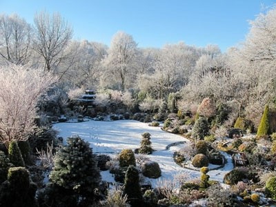 Thăm khu vườn tuyệt đẹp ở Anh | ảnh 11