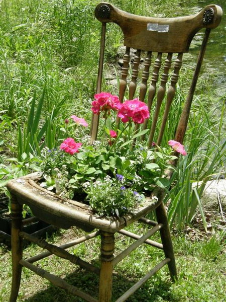 Biến ghế cũ thành bồn hoa rực rỡ | ảnh 19