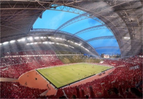 Kiến trúc siêu hiện đại của sân bóng Singapore | ảnh 4