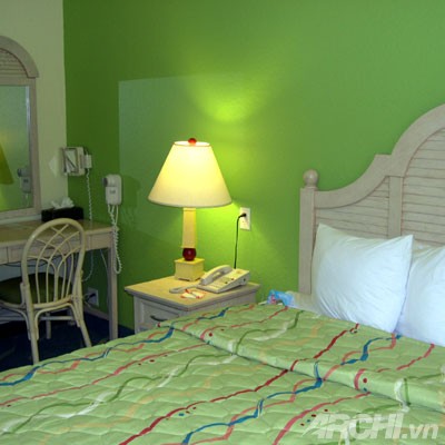 Phòng ngủ mát mắt với tường màu xanh lá | ảnh 6