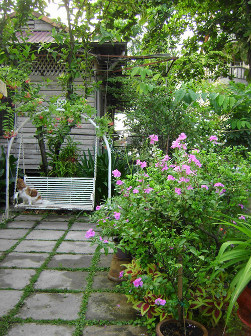 Ngoại thất sân vườn trong nhà hiện đại | ảnh 2