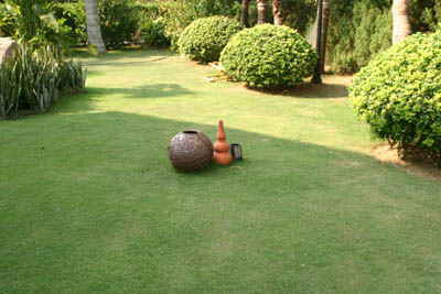 Tô điểm cho ngoại thất nhà vườn bằng đồ gốm | ảnh 4