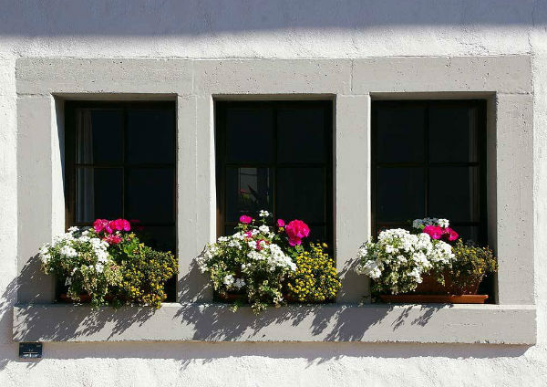 Sắc hoa rực rỡ cho những ô cửa sổ | ảnh 7